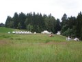Lísek 08 Lísek 08